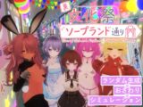 裏文化祭ソープランド通り