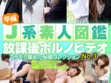 平成J系素人図鑑 放課後ポルノビデオ こっそり集めた秘蔵コレクションNo.3